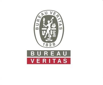 BV船舶數量增長強勁